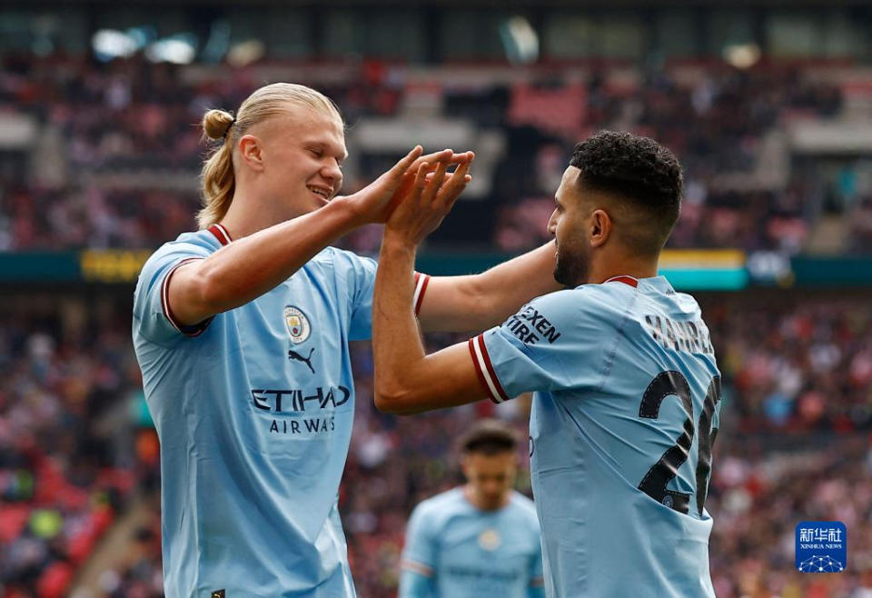 前国米助教：伊布是最难管的球员；阿德是个玻璃般脆弱的天才